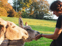 Jaroslaw’s London Landmarks Half Marathon 12th April 2026