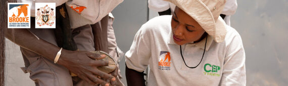 London Landmarks Half Marathon 2026 - in support of WCF and Brooke