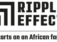Ripple Effect 