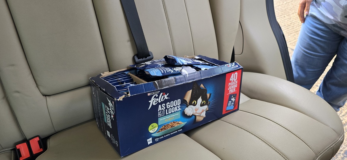 Image uploaded with update