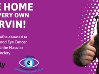 Marvin the Mole for CHECT and The Macular Society