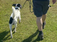 Lancashire Coastal Walk 