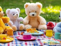 Teddy Bears Picnic