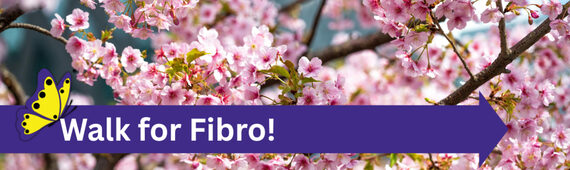 My walk for fibromyalgia 