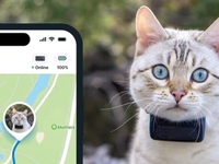 Win a Tractive cat tracker with a years subscription