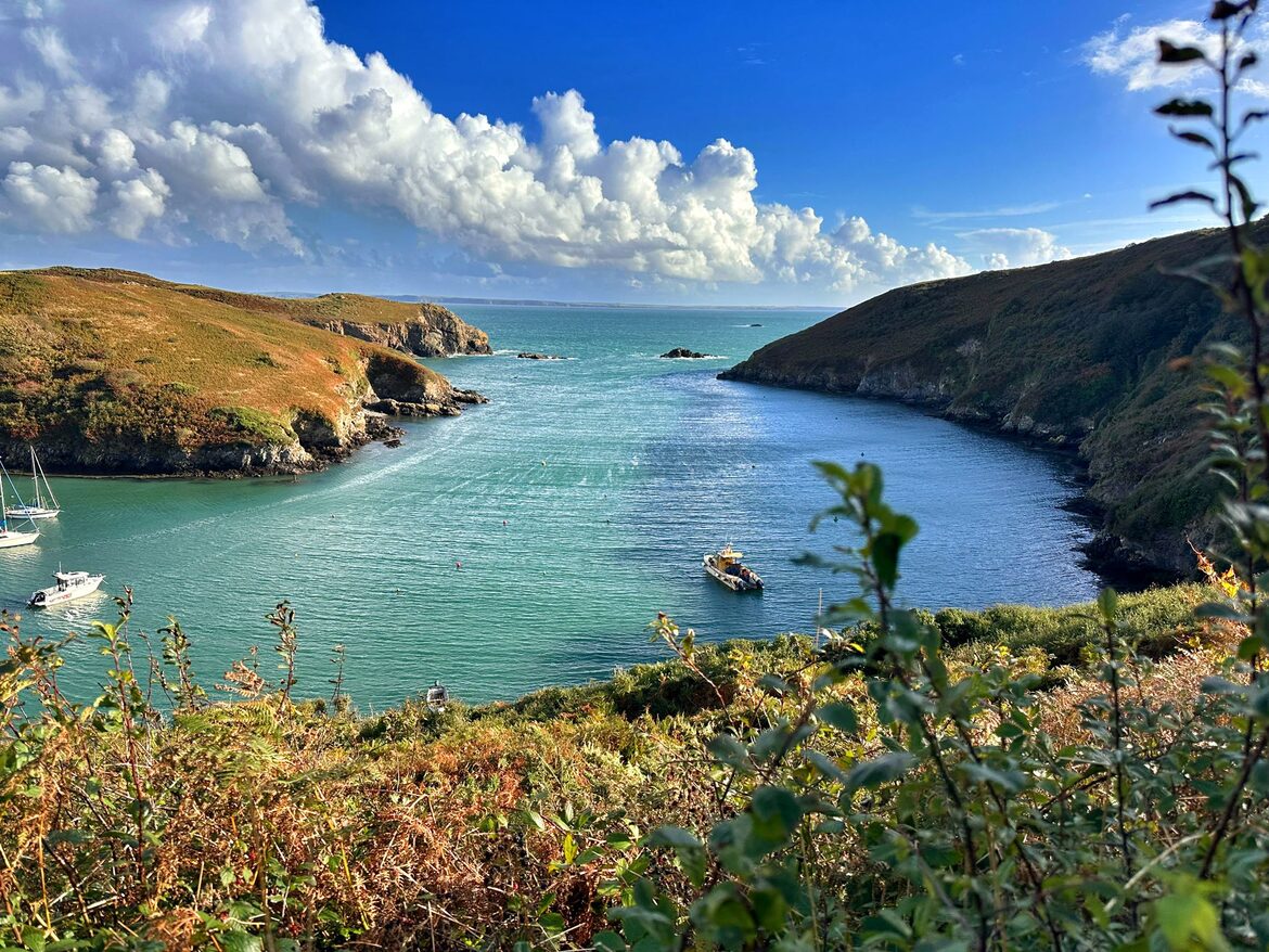 Image uploaded with update