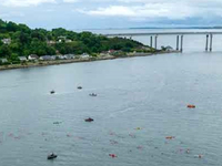 Steven Nicol - Kessock Ferry Swim 2024