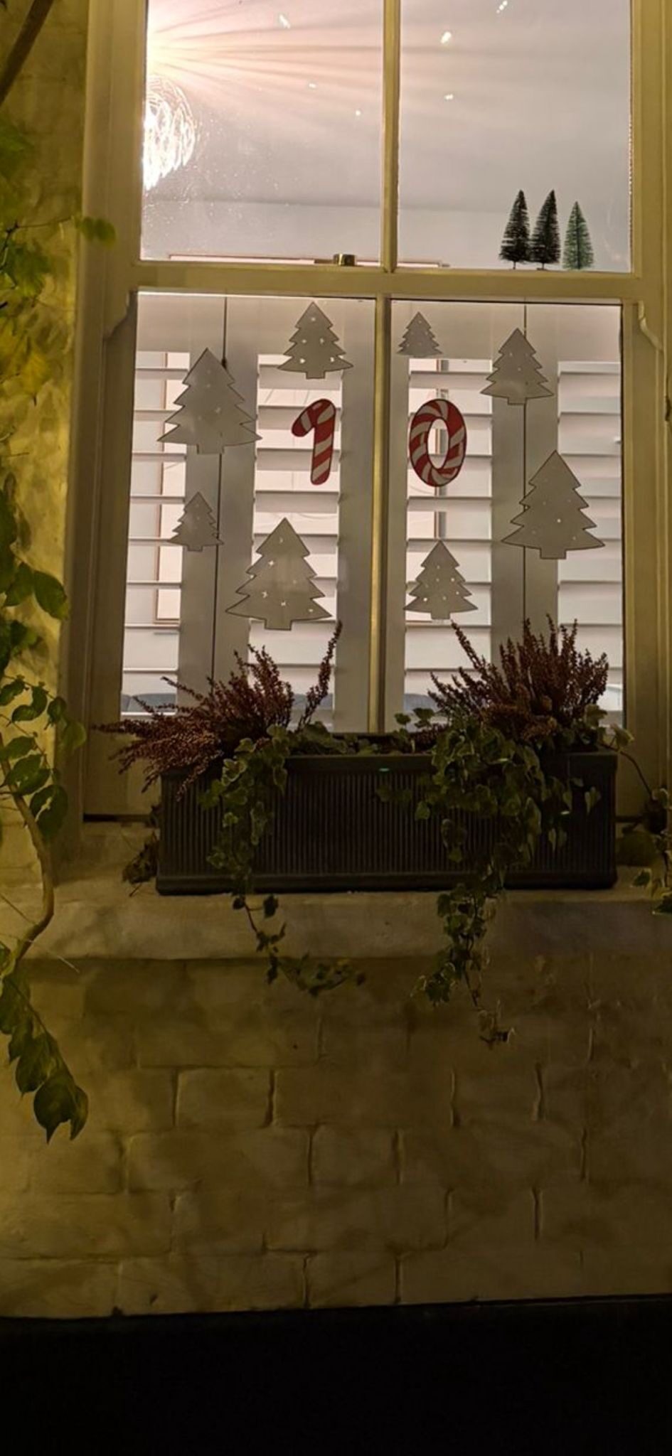 Image uploaded with update