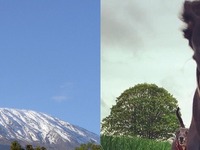 Climbing Mount Kilimanjaro for Poppy