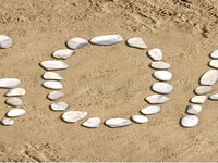 GOAN CHRISTMAS CELEBRATION