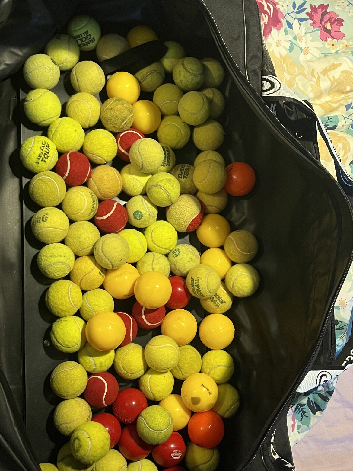 Image uploaded with update