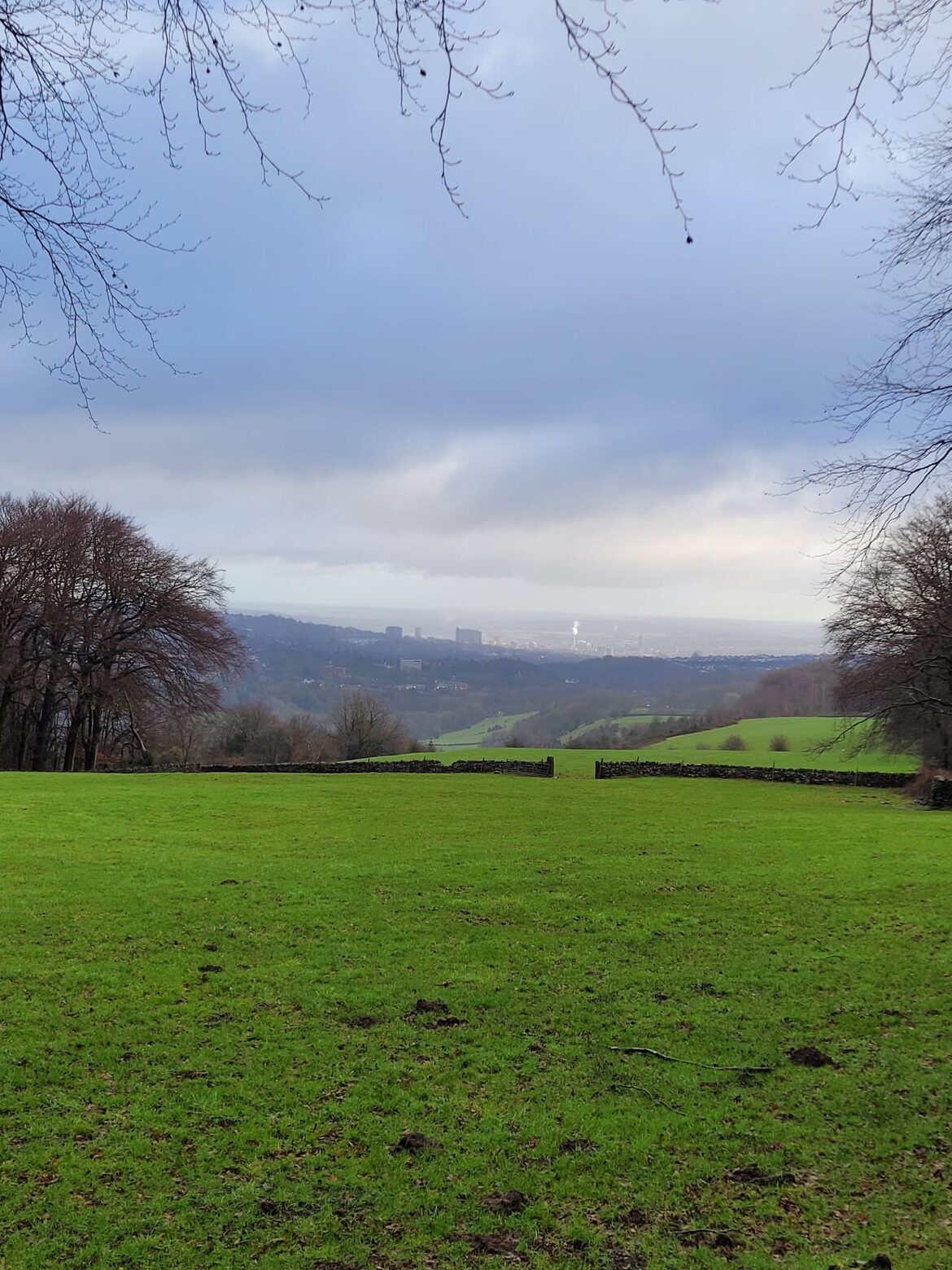 Image uploaded with update