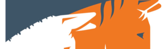 Marc’s charity fundraiser for Brooke Charity action for horses