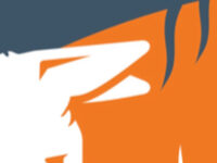 Marc’s charity fundraiser for Brooke Charity action for horses