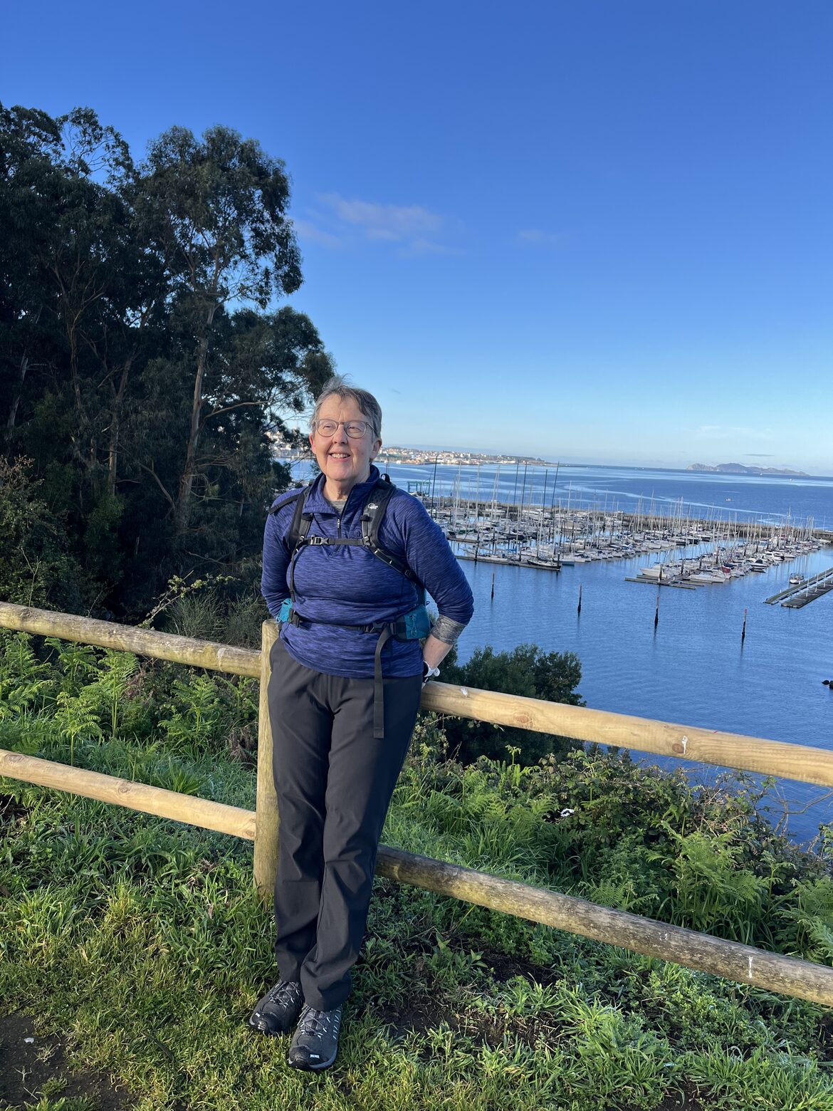 Image uploaded with update