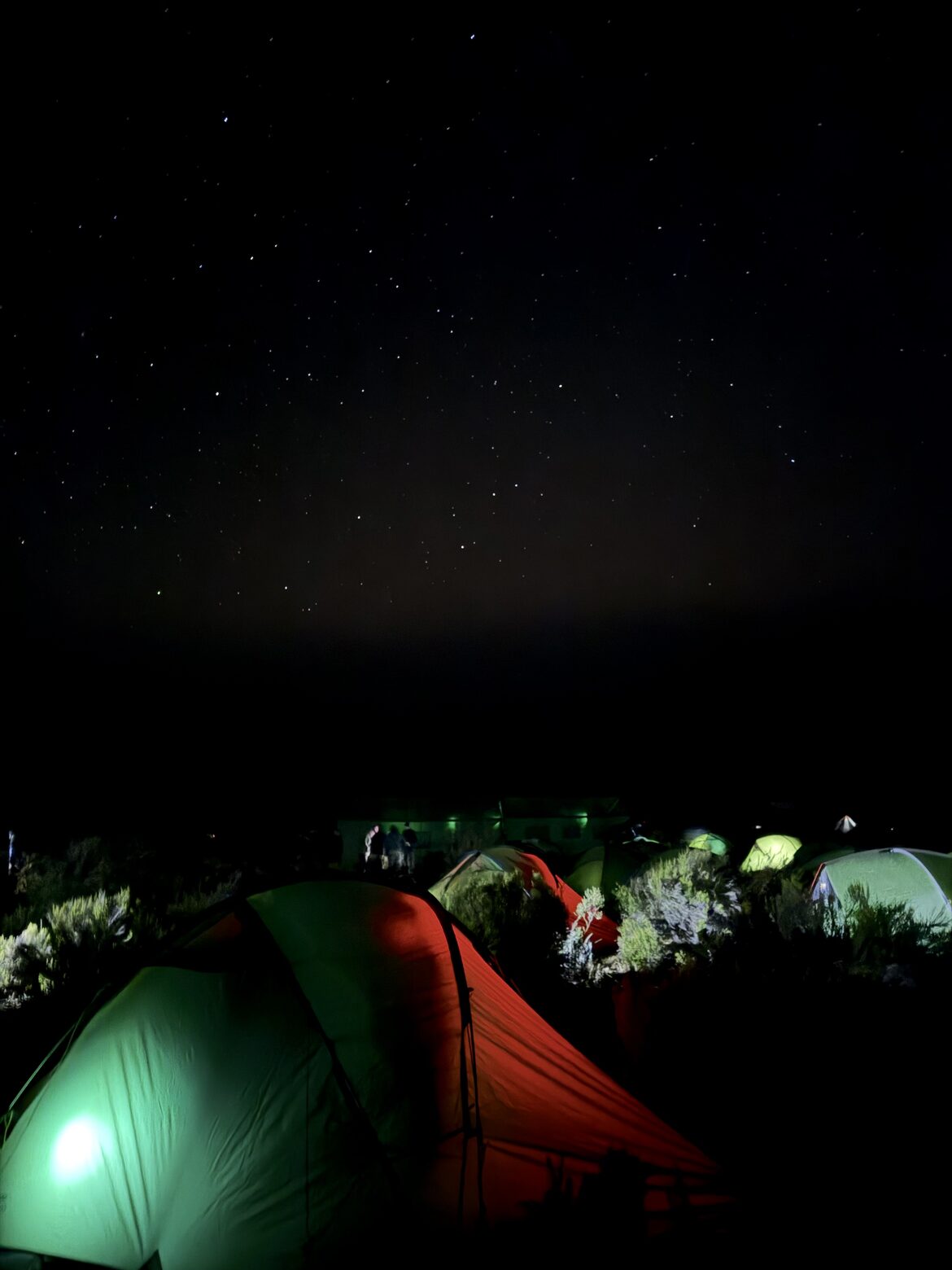 Image uploaded with update