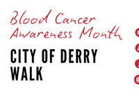 LLNI Derry Walk 2025