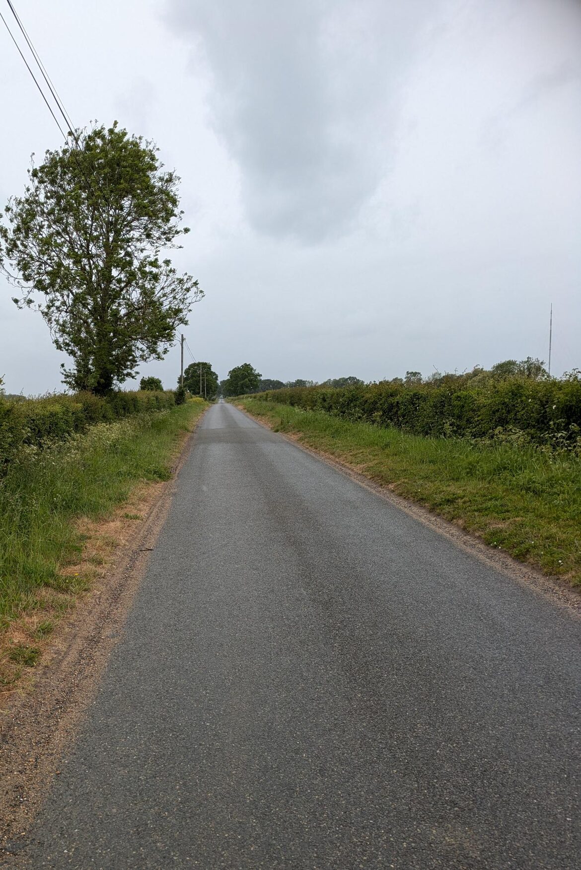 Image uploaded with update