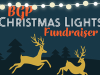 Christmas Lights BGP Fundraiser 2022
