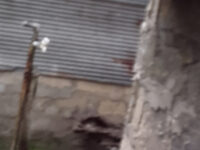 Establishing a fixed home for homelessness 
