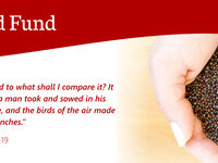 The Mustard Seed Fund