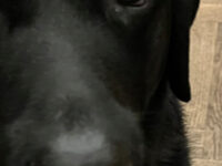 Thank you!!!! For your Service!!! Keeping  us Safe!!! You are Heros!!!