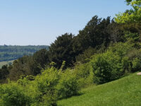 Blick Rothenberg Annual Charity Walk- North Downs 2026