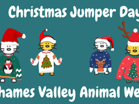 Henley Vets Christmas Jumper Day for TVAW