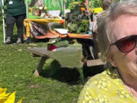 In memory of Pam Boardman