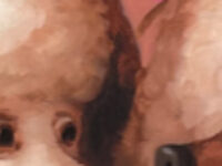 Win TWO framed prints by Alison Friend!!!! 