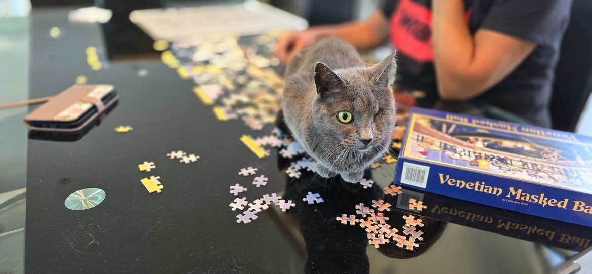 Image uploaded with update