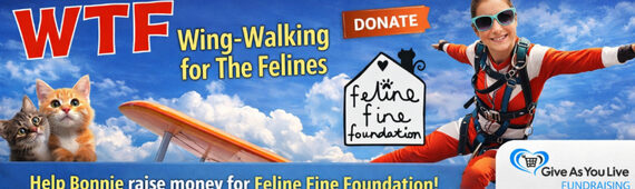 WTF - Wing-Walking for The Felines