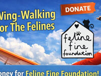 WTF - Wing-Walking for The Felines