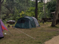 Win a private woodland camping weekend for 25 people