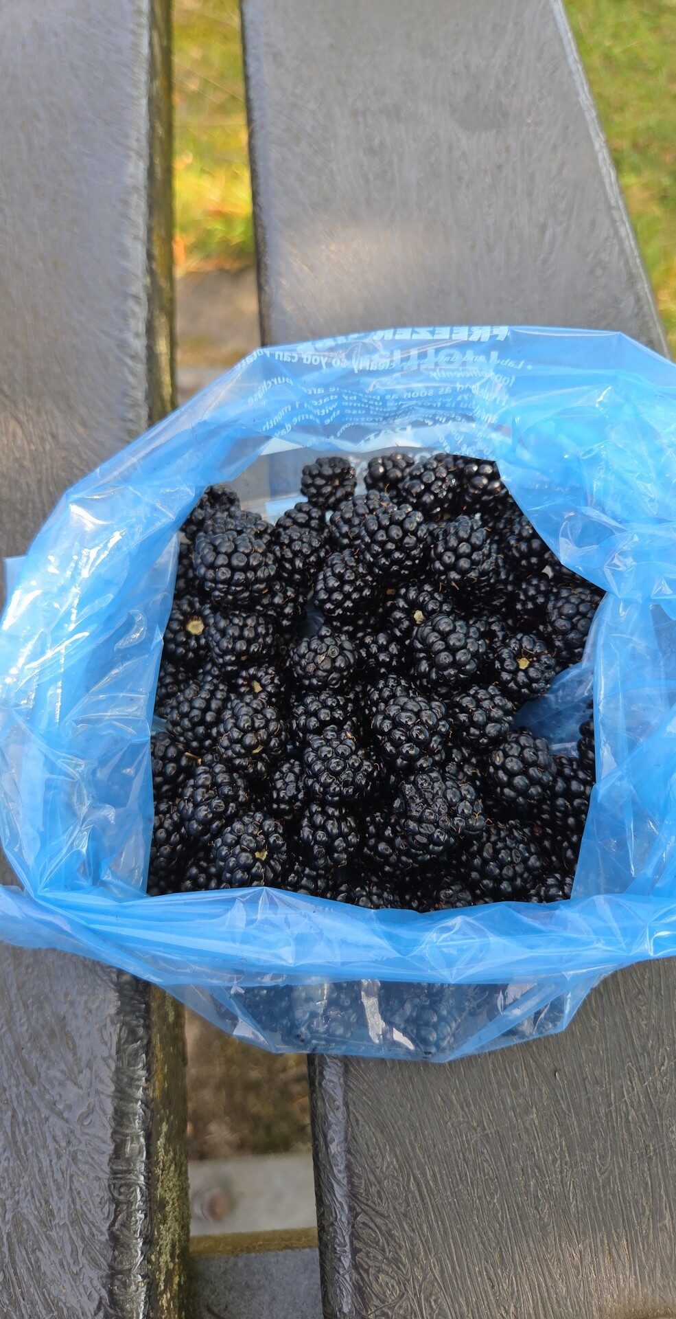 Image uploaded with update