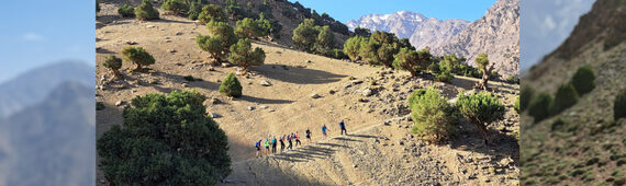 The Dementia Experience - Moroccan Adventure