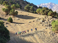 The Dementia Experience - Moroccan Adventure