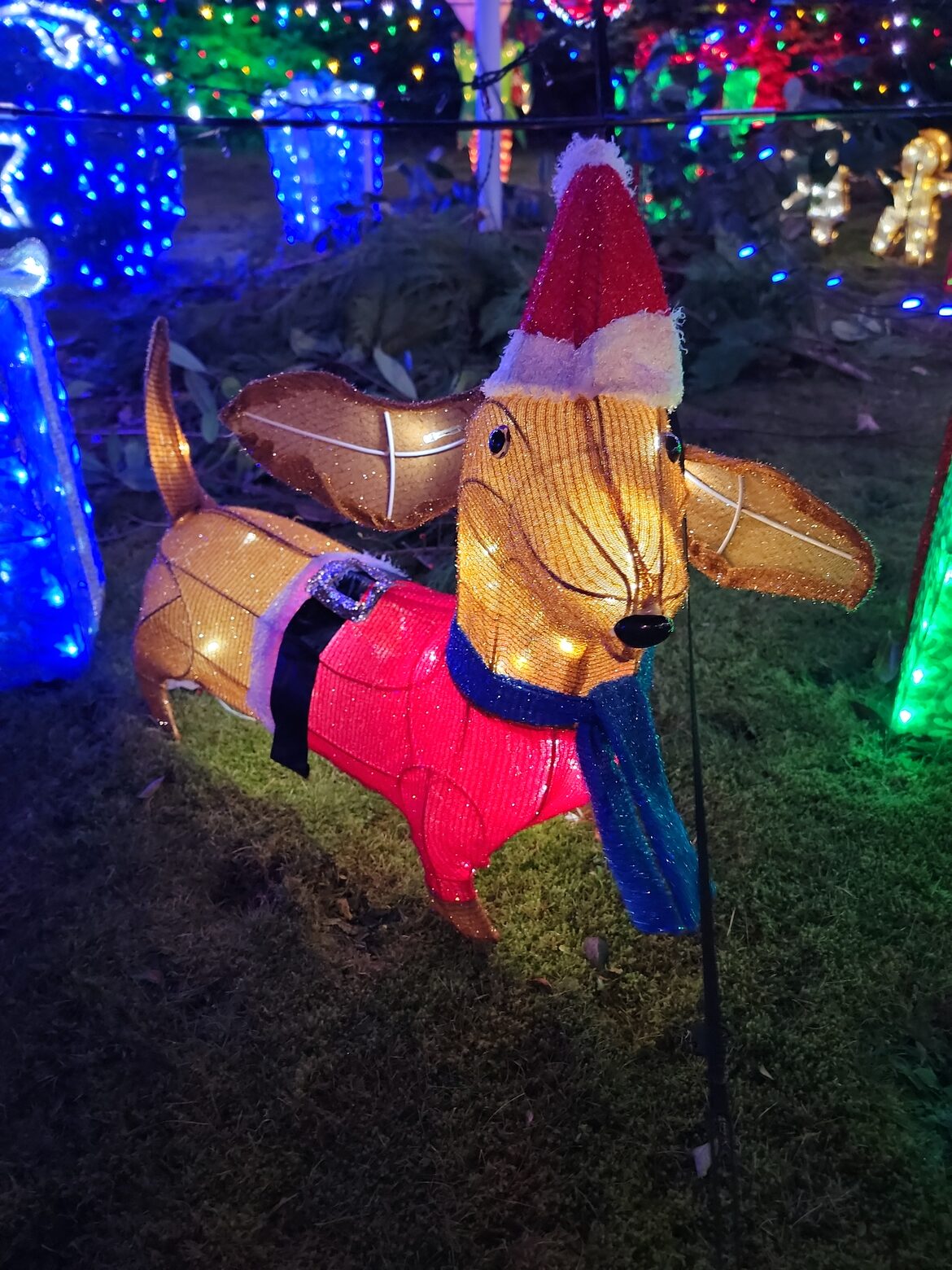 Image uploaded with update