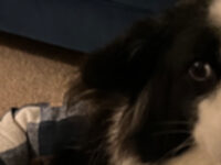 Fairytale of Newquay — my first Ultra Marathon 