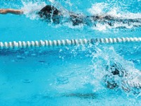 Aquavision Sponsored Swim 2017