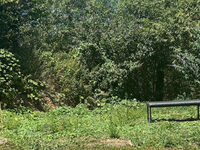 Help Ian Create a Sensory Garden for Special Needs Children