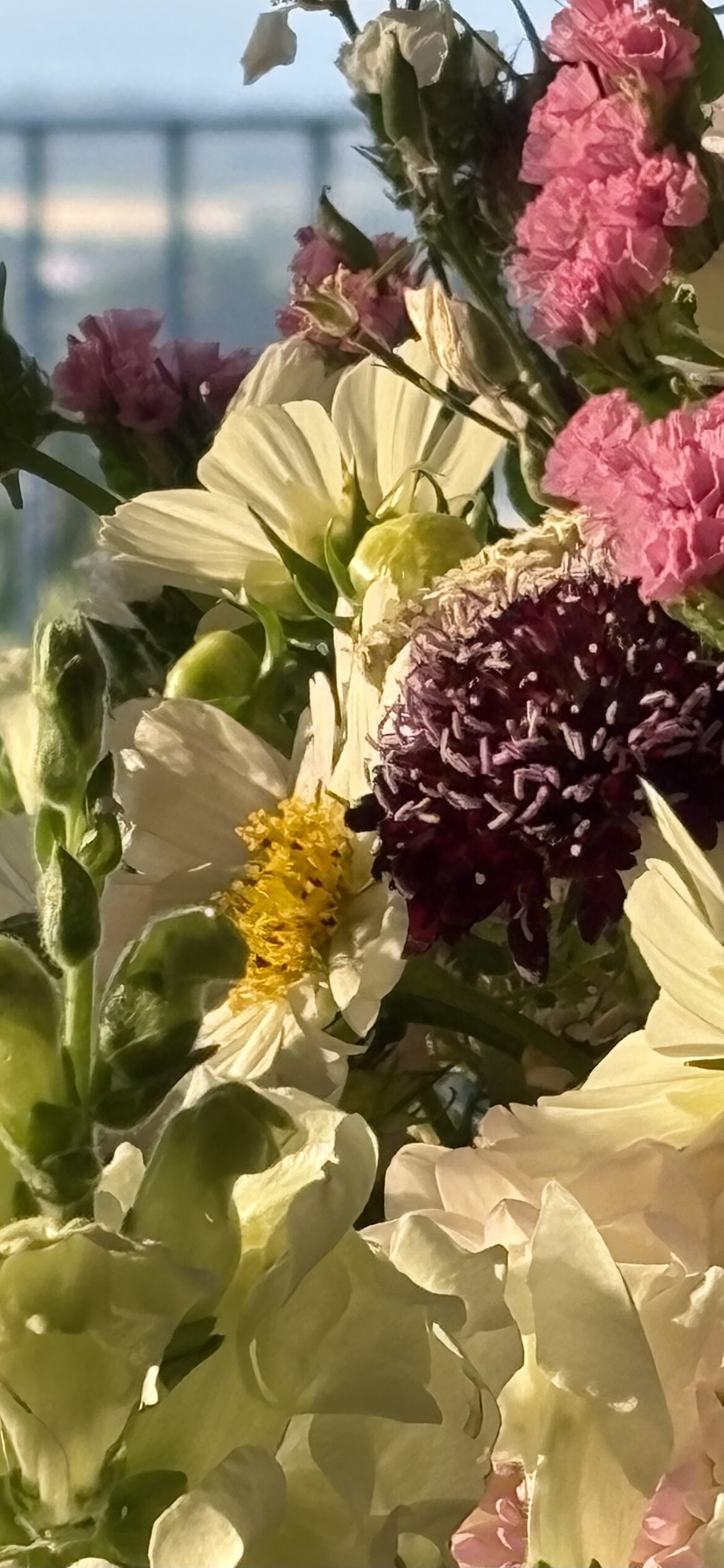 Image uploaded with update