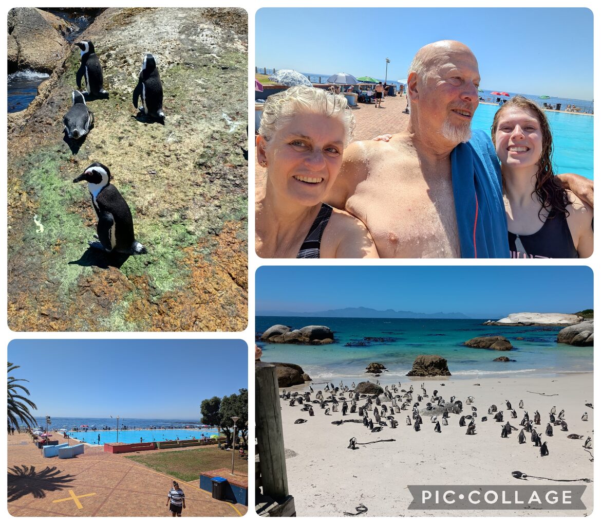 Image uploaded with update