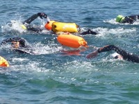 Kessock Ferry Swim 2022