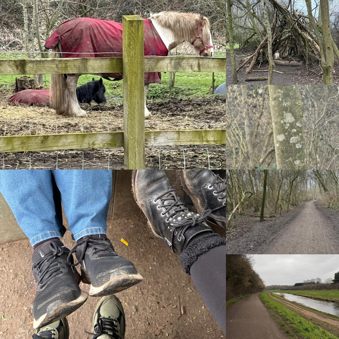 Image uploaded with update