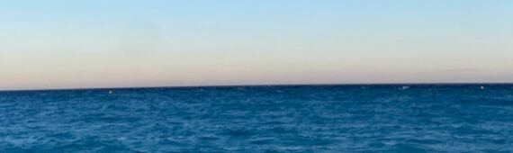 Chloe’s Bath Half 2026