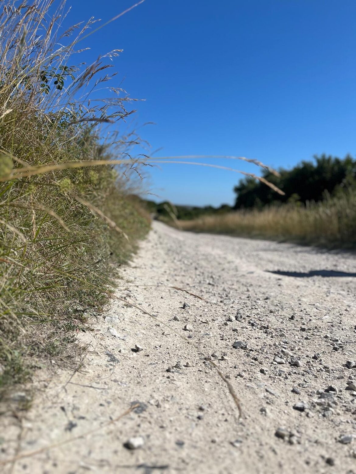 Image uploaded with update