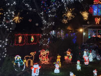 Christmas Lights in Support of Pussycat Lodge