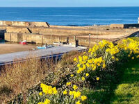 Susanne's Harbour Hoolie