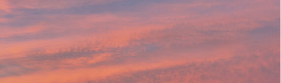 Lilibet’s fundraising page for the Lord’s Taverners - London Marathon 2026